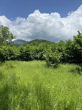 Satılır torpaq sahəsi — Qəbələ