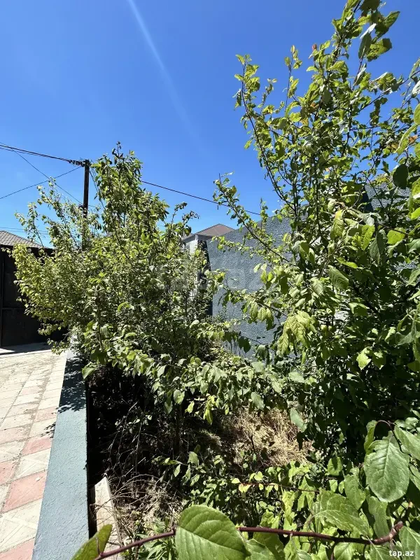 Satılır 4 otaqlı həyət evi 110 m²