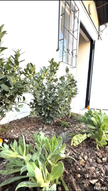 Satılır 2 otaqlı həyət evi 70 m²