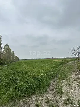 Satılır torpaq sahəsi — Xaçmaz
