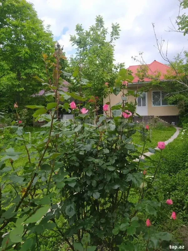 Kirayə verilir 3 otaqlı həyət evi 49 m²