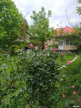 Kirayə verilir 3 otaqlı həyət evi 49 m² — İsmayıllı 3 otaq 49.00 m²
