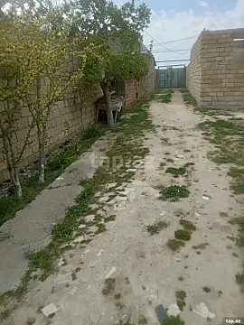 Satılır 3 otaqlı həyət evi 80 m² — Bakı, Nizami 3 otaq 80.00 m²