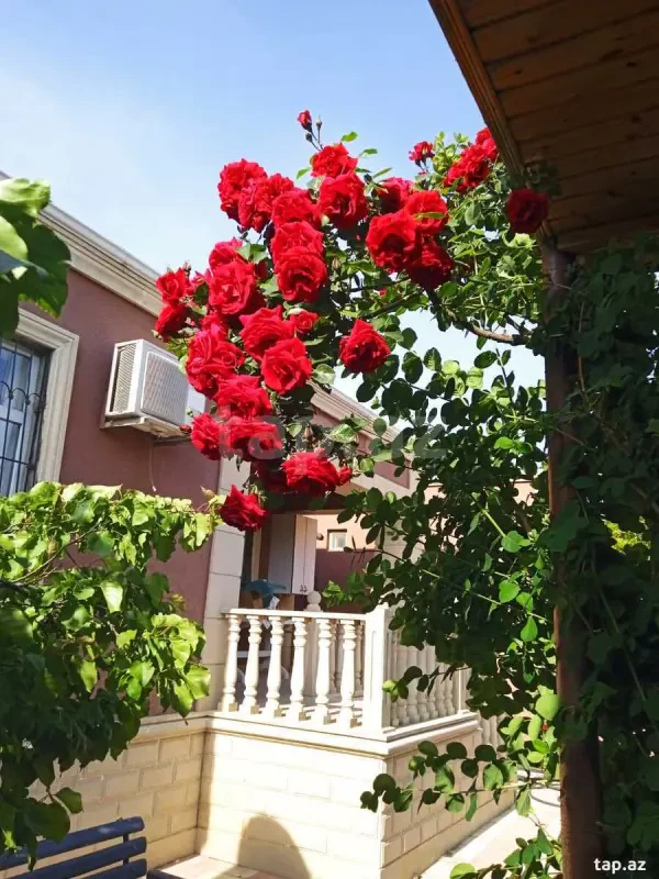 Kirayə verilir 3 otaqlı həyət evi 100 m²