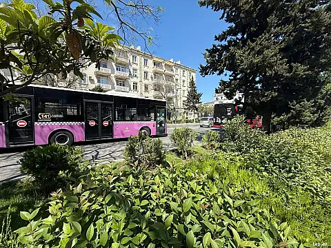 Kirayə verilir 2 otaqlı mənzil 75 m² — Bakı 2 otaq 75.00 m²