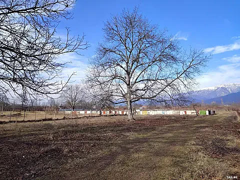 Satılır torpaq sahəsi — İsmayıllı