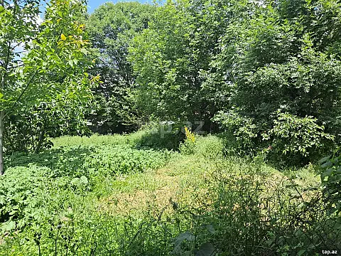 Satılır torpaq sahəsi — İsmayıllı