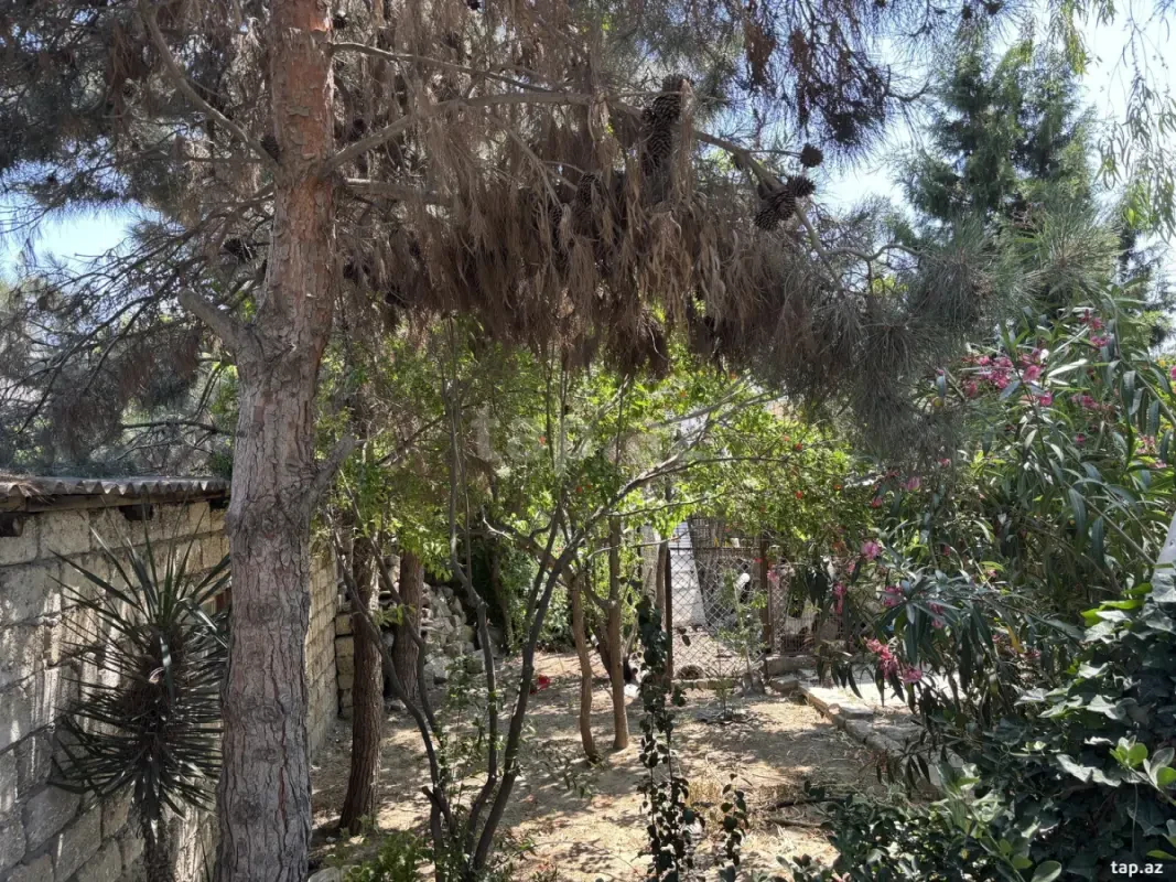 Kirayə verilir 3 otaqlı həyət evi 150 m²