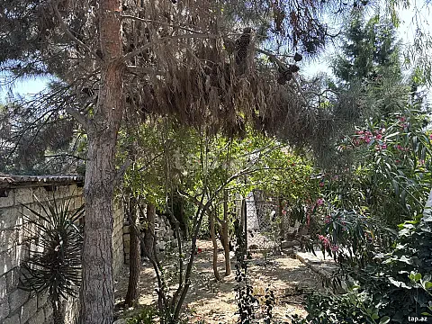 Kirayə verilir 3 otaqlı həyət evi 150 m² — Bakı, Buzovna 3 otaq 150.00 m²