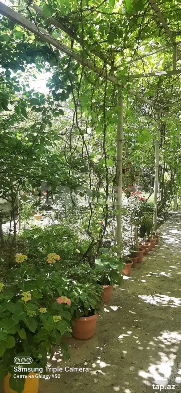 Satılır 3 otaqlı həyət evi 101 m²