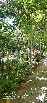 Satılır 3 otaqlı həyət evi 101 m² — Sumqayıt 3 otaq 101.00 m²