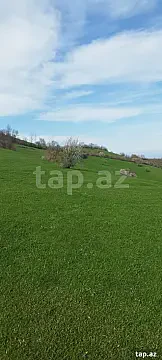 Satılır torpaq sahəsi — Quba