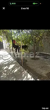 Satılır 3 otaqlı həyət evi 100 m² — Bakı 3 otaq 100.00 m²