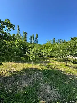Satılır torpaq sahəsi — Qusar