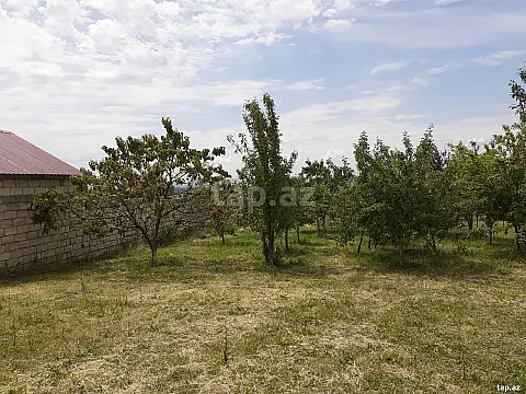 Satılır torpaq sahəsi — Oğuz