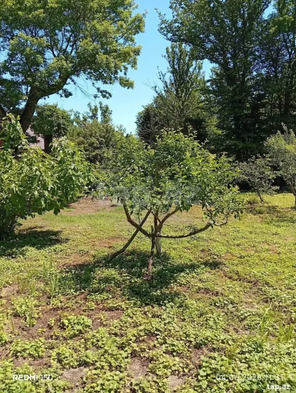 Kirayə verilir 1 otaqlı həyət evi 30 m²