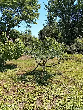 Kirayə verilir 1 otaqlı həyət evi 30 m² — Bakı 1 otaq 30.00 m²