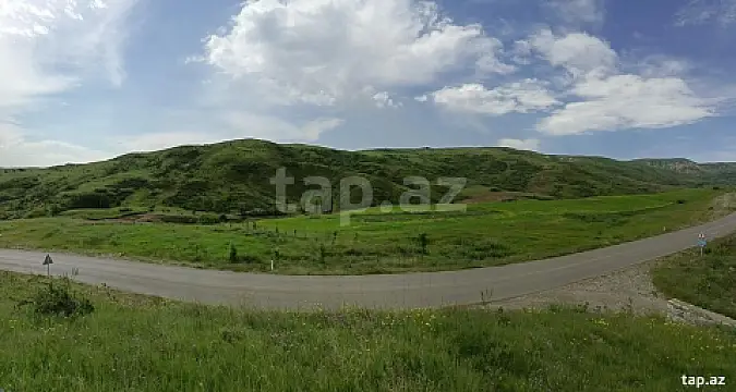 Satılır torpaq sahəsi — Şamaxı
