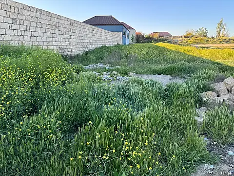 Satılır torpaq sahəsi — Bakı, Biləcəri