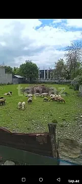 Satılır torpaq sahəsi — Bakı