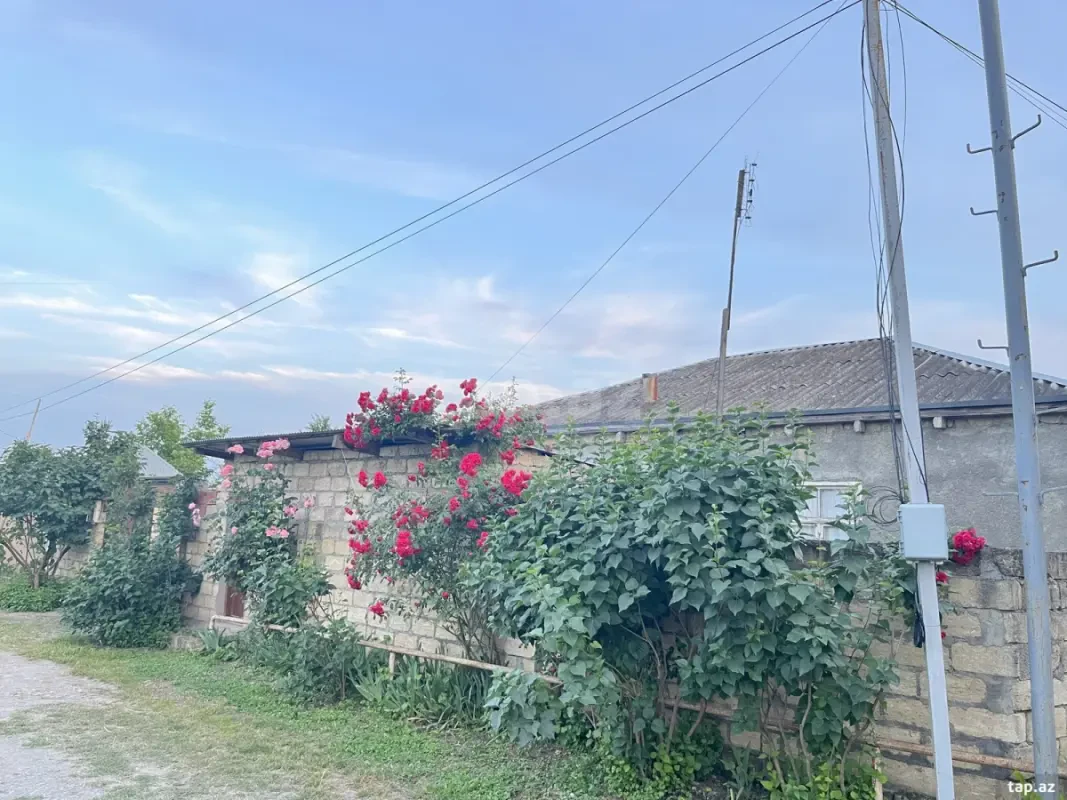 Satılır 3 otaqlı həyət evi 16 m²