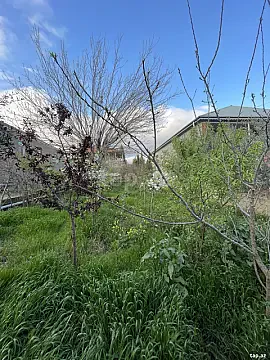 Satılır torpaq sahəsi — Bakı, Xətai