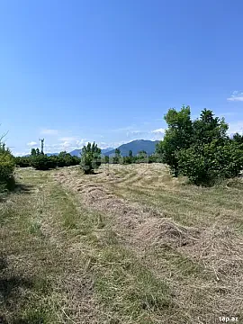 Satılır torpaq sahəsi — Qəbələ
