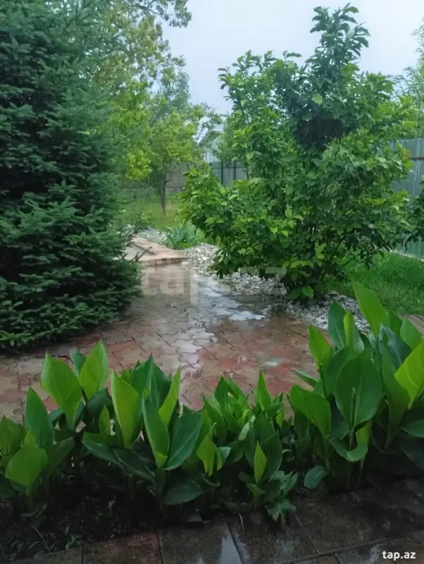 Kirayə verilir 3 otaqlı həyət evi 100 m²