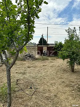 Satılır torpaq sahəsi — Bakı, Novxanı