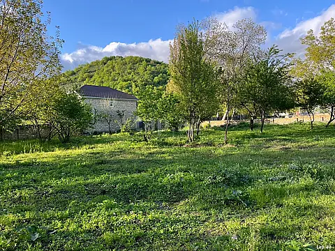 Satılır torpaq sahəsi — Qəbələ