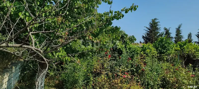 Satılır torpaq sahəsi — Bakı, Bülbülə