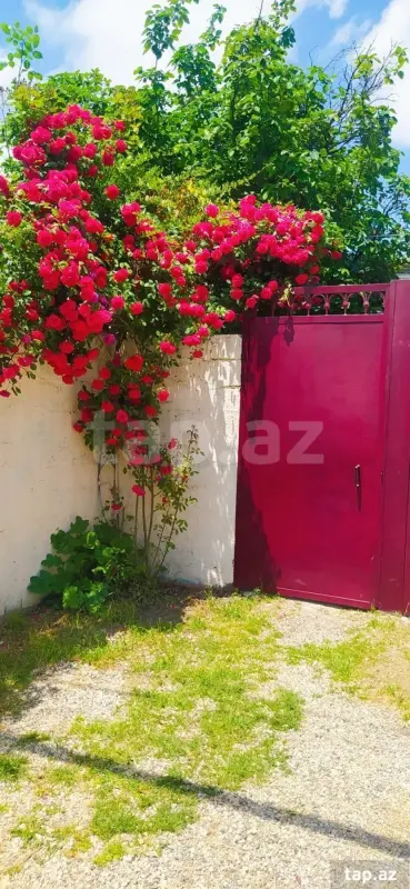 Kirayə verilir 4 otaqlı həyət evi 80 m²