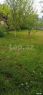 Kirayə verilir 3 otaqlı həyət evi 800 m² — İsmayıllı 3 otaq 800.00 m²