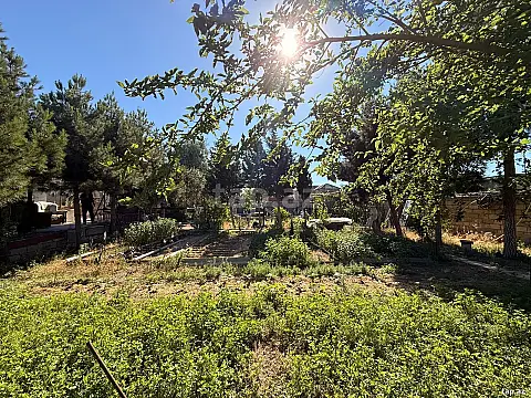 Satılır torpaq sahəsi — Bakı, Şağan