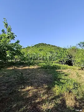 Satılır torpaq sahəsi — Qəbələ