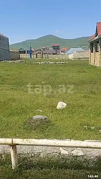 Satılır torpaq sahəsi — Daşkəsən