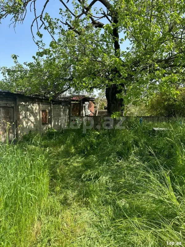 Satılır 3 otaqlı həyət evi 50 m²