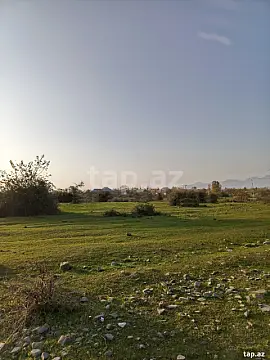 Satılır torpaq sahəsi — Oğuz