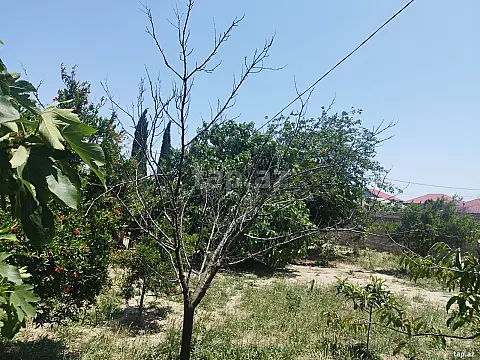 Satılır torpaq sahəsi — Bakı, Masazır