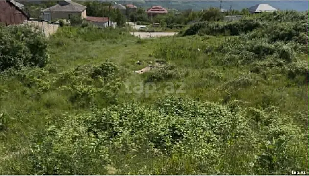 Satılır torpaq sahəsi — Şamaxı
