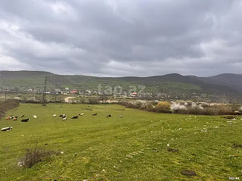 Satılır torpaq sahəsi — Şabran