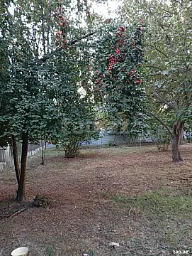 Satılır torpaq sahəsi — Oğuz