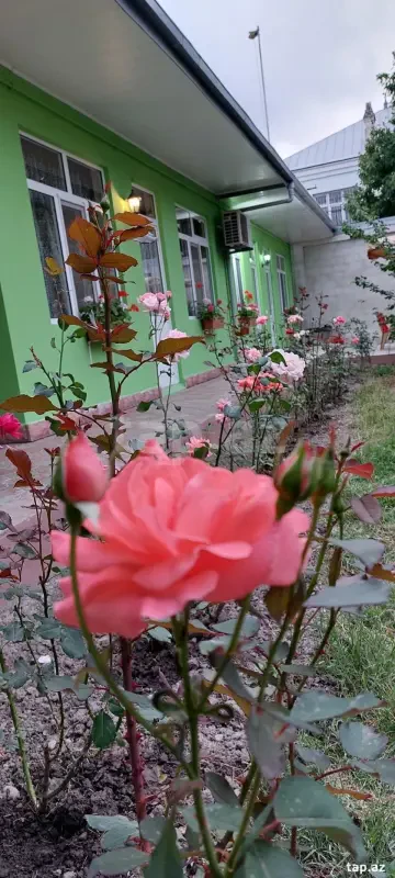 Kirayə verilir 2 otaqlı həyət evi 100 m²