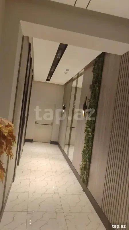 Kirayə verilir 2 otaqlı yeni tikili 75 m²