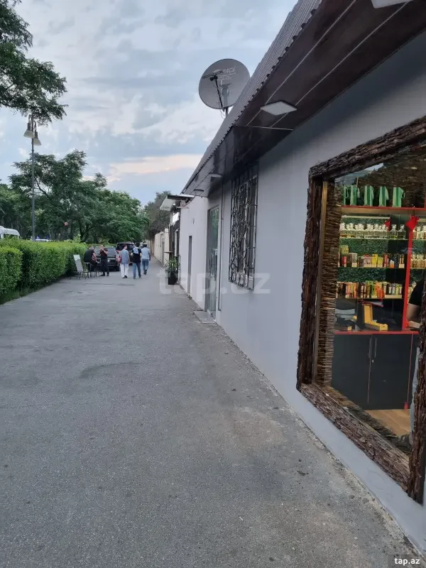 Kirayə verilir ofis