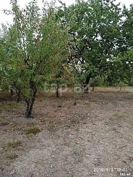 Satılır torpaq sahəsi — Xaçmaz