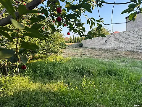 Satılır torpaq sahəsi — Bakı, Novxanı