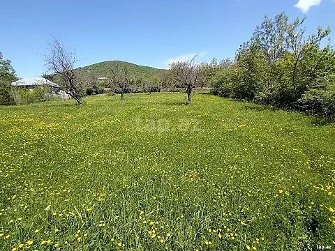 Satılır torpaq sahəsi — İsmayıllı