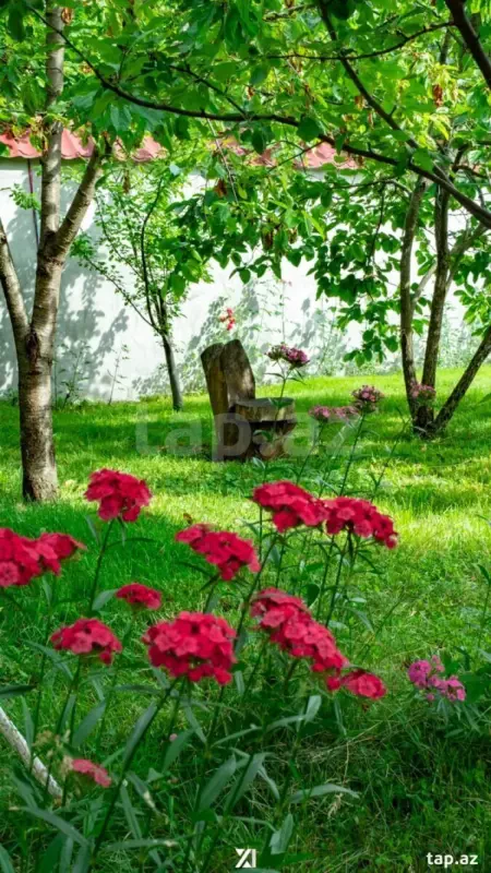 Kirayə verilir 7 otaqlı həyət evi 200 m²