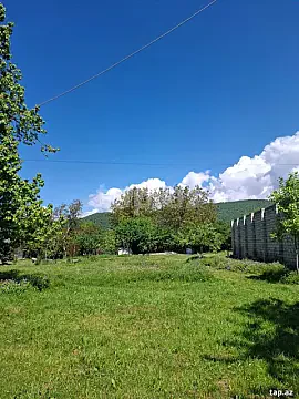 Satılır torpaq sahəsi — Qəbələ